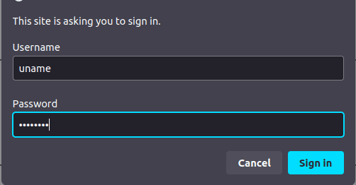 basic auth